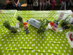 48746270811252625394016933505475840647940054n